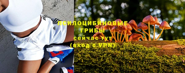соль ск Заволжск