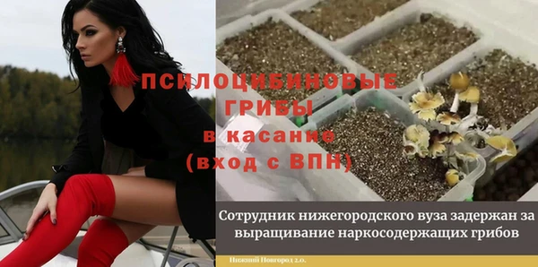 МДПВ Заводоуковск