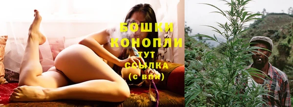 МДПВ Заводоуковск