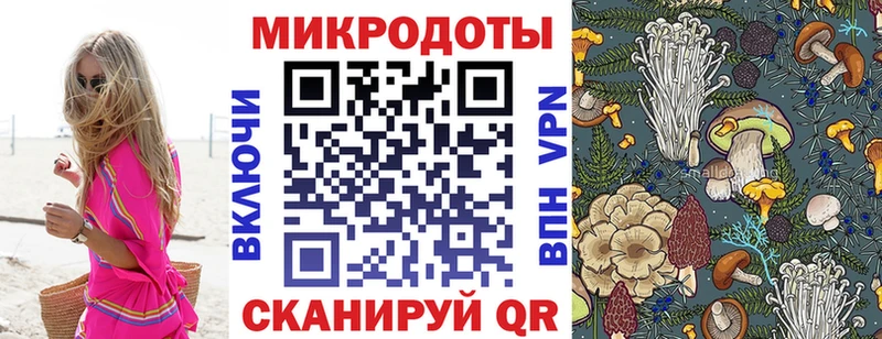 Псилоцибиновые грибы Psilocybine cubensis  Купить  Курчатов 