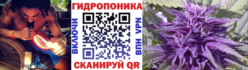 Канабис THC 21%  Купить где  Курчатов 